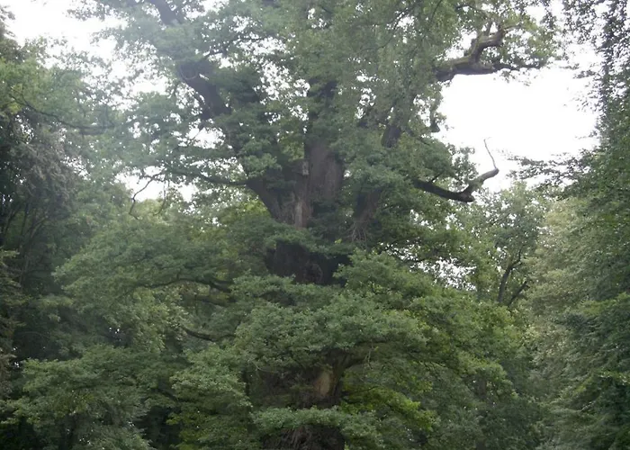 Apartmán Dachgeschoss *